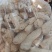 竹荪，干竹荪，贵州竹荪，无硫磺全干竹荪，特级竹荪，质量保