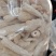 竹荪，干竹荪，贵州竹荪，无硫磺全干竹荪，特级竹荪，质量保