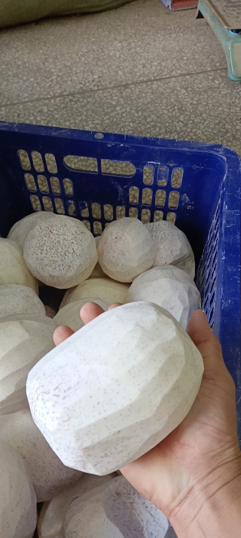广西荔浦香芋，荔浦槟榔芋头，香甜软糯，老少皆宜，个头大，