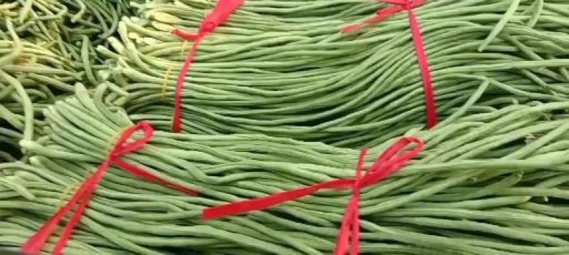 豆角豆角8元1号左右大量上市欢迎新老客户前来选购