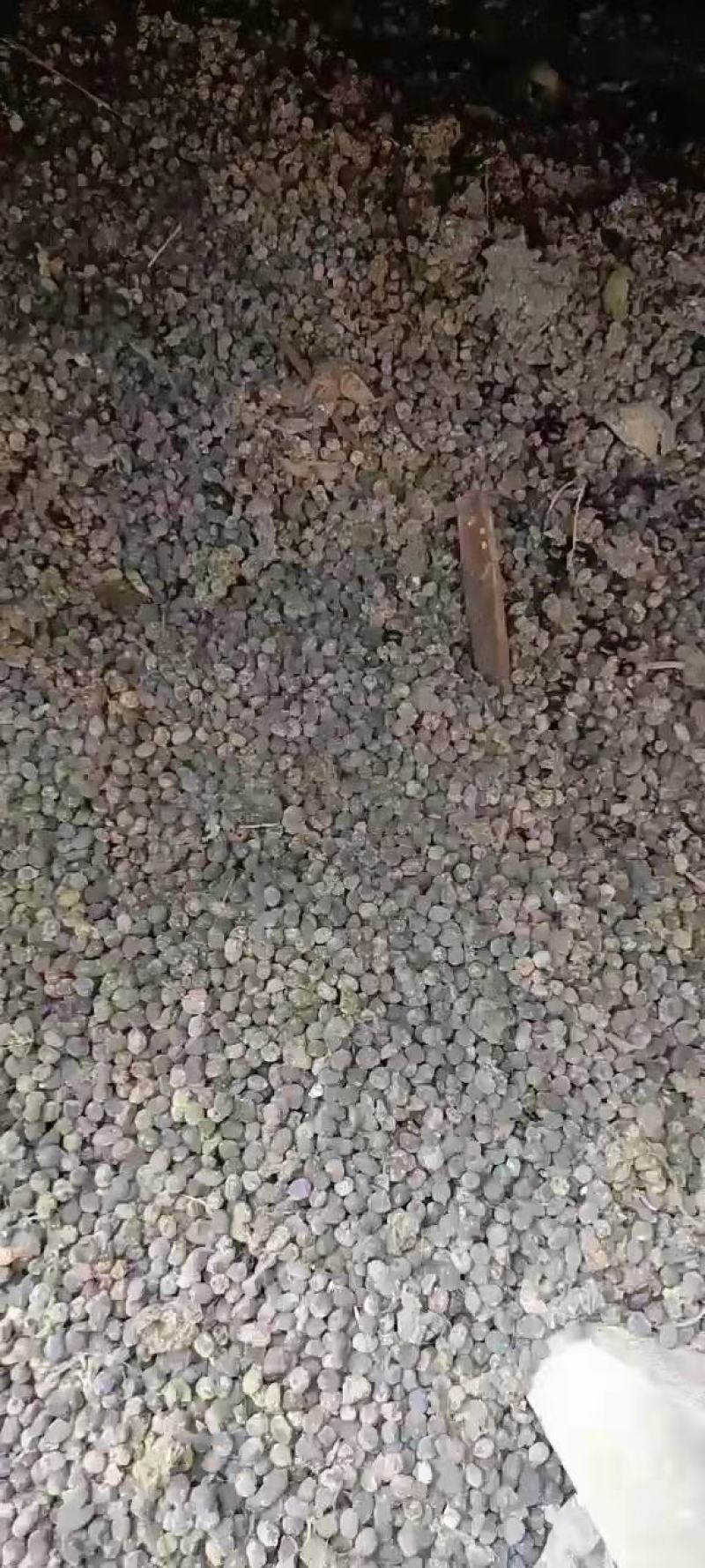 大包羊粪纯羊粪纯干羊粪发货要的可以联系我就行