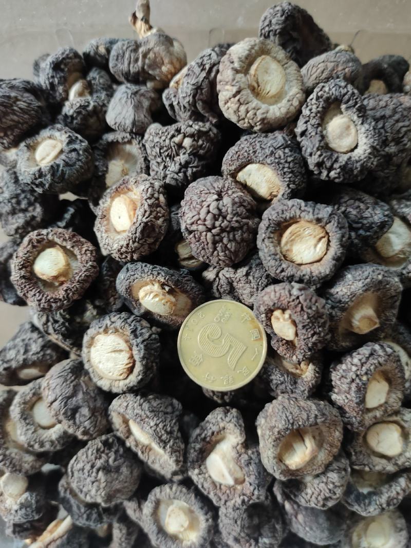 香菇特厚无根香味浓郁颗粒饱满黑面均匀，欢迎选购