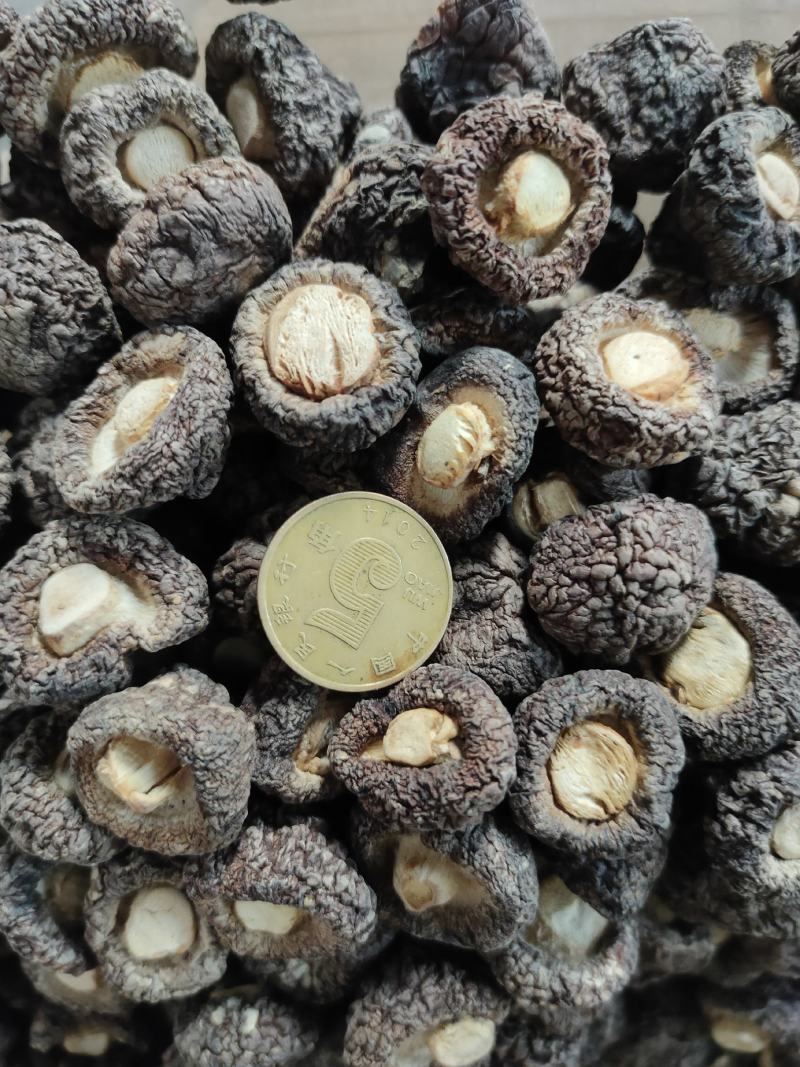 香菇特厚无根香味浓郁颗粒饱满黑面均匀，欢迎选购
