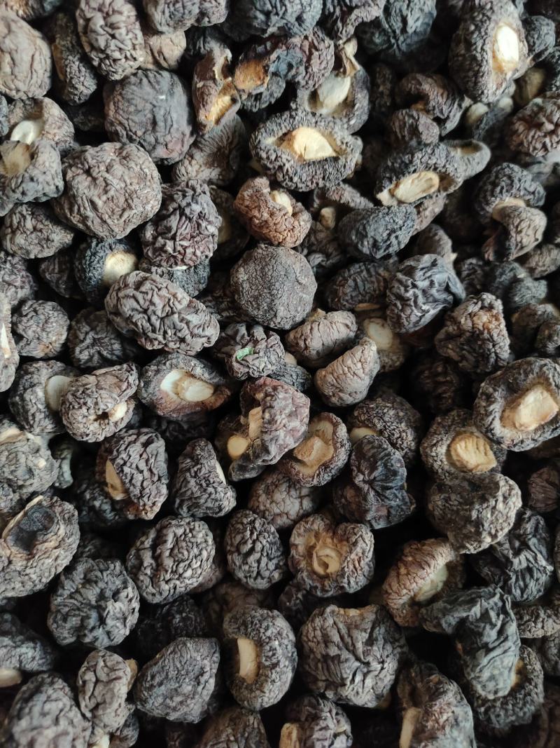 香菇特厚无根香味浓郁颗粒饱满黑面均匀，欢迎选购