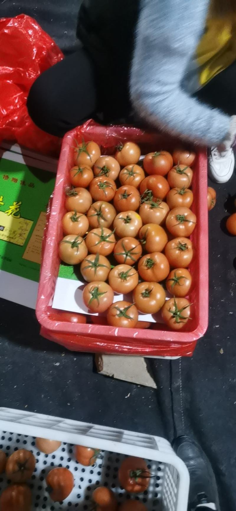 （西红柿基地）山东莘县精品大红西红柿（产地）