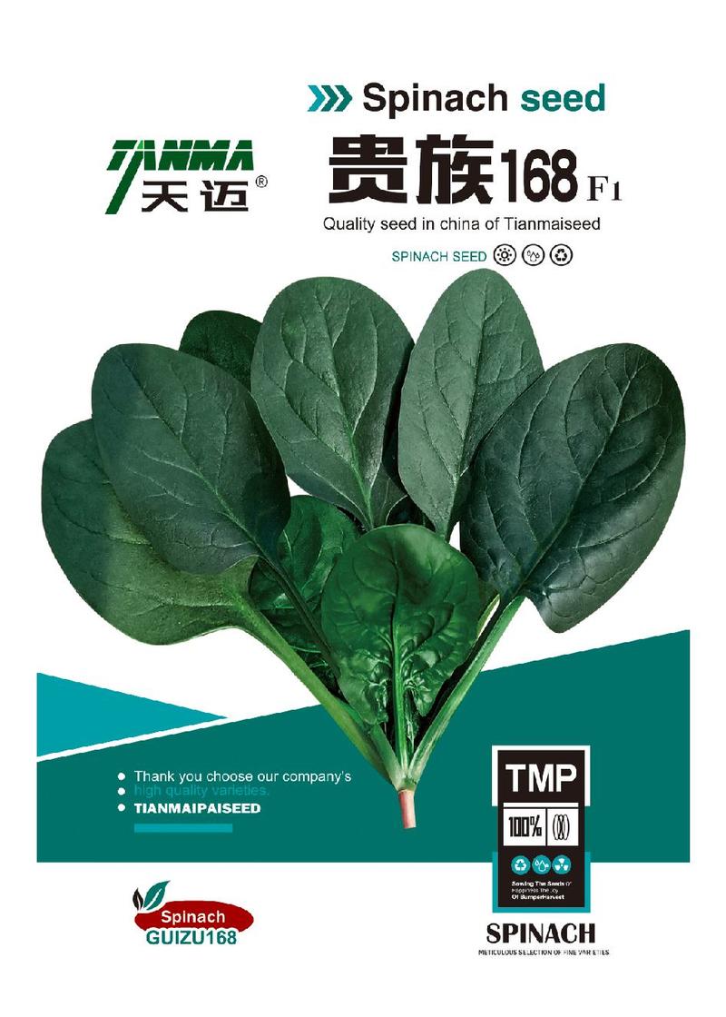 贵族168F1一代杂交菠菜种子抗病性极强产量极高
