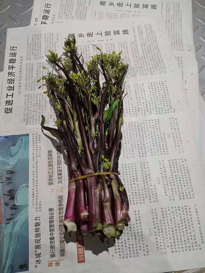 红油菜苔