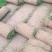 草坪草皮，魏县牛哲草坪种植场供应商四季青草坪
