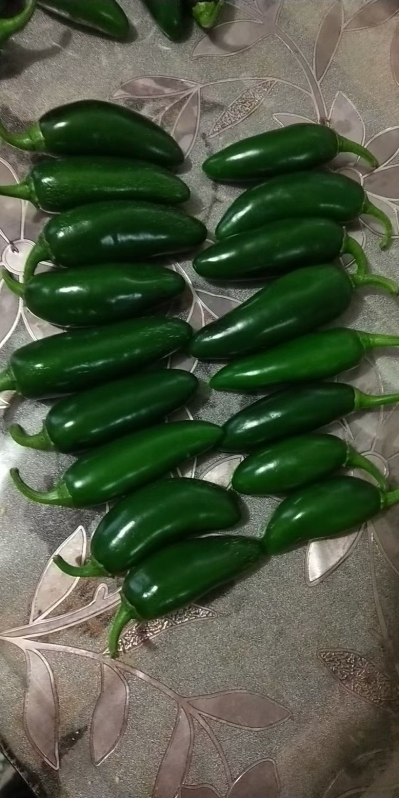 高辣泡椒