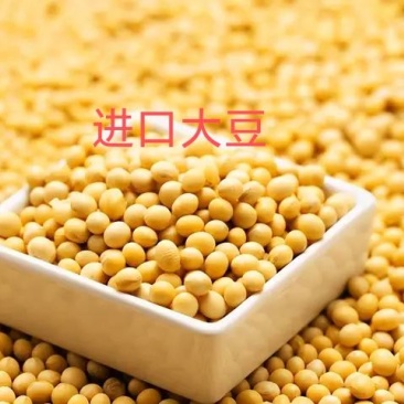 益生菌纳豆菌发酵大豆,袋装,进口非转大豆,日照港提货