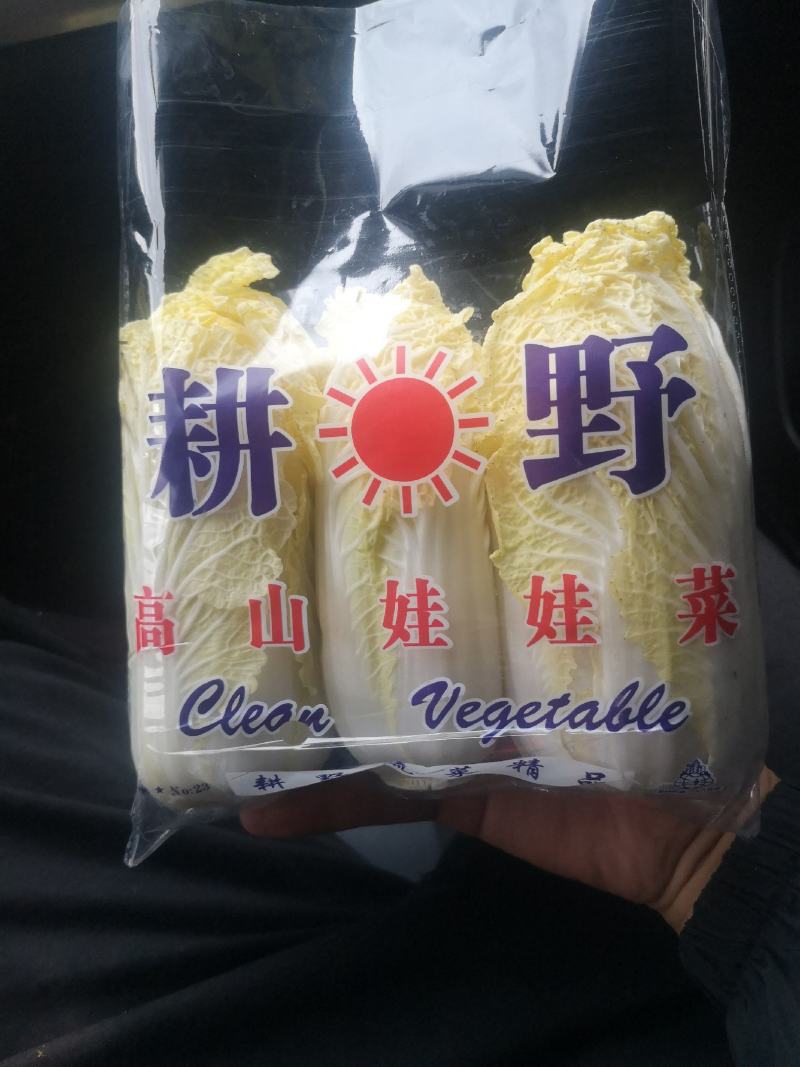 娃娃菜，精品货，大量上市中.........