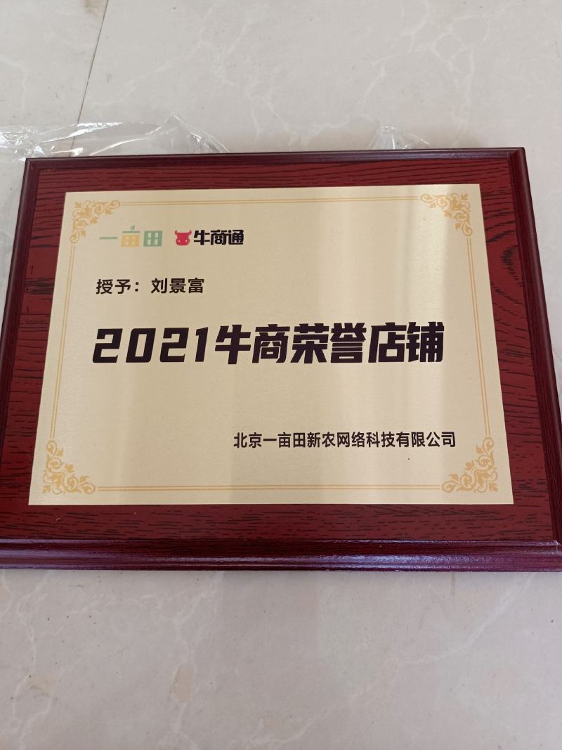 广西黑皮冬瓜，吊冬瓜基地直发，价格优惠质量保证，提供车
