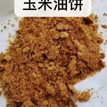 玉米油饼