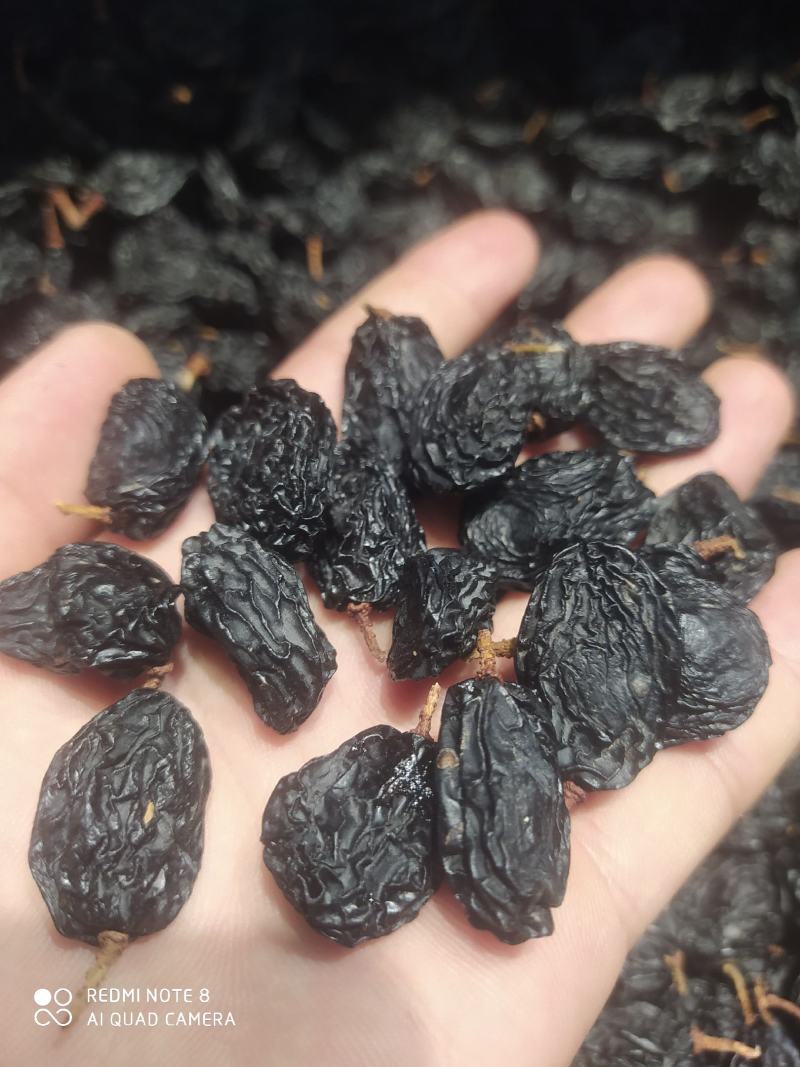 包邮，黑加仑黑美人，新疆吐鲁番，真正超大颗粒，口感好自然