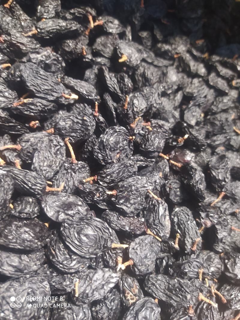 包邮，黑加仑黑美人，新疆吐鲁番，真正超大颗粒，口感好自然