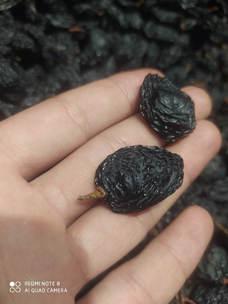 包邮，黑加仑黑美人，新疆吐鲁番，真正超大颗粒，口感好自然