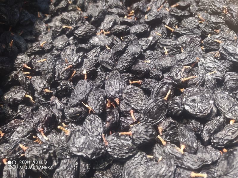 包邮，黑加仑黑美人，新疆吐鲁番，真正超大颗粒，口感好自然