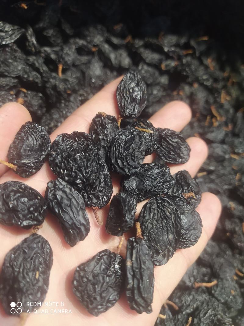 包邮，黑加仑黑美人，新疆吐鲁番，真正超大颗粒，口感好自然