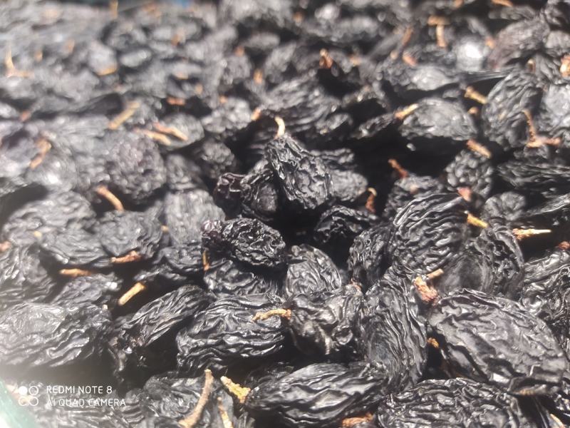 包邮，黑加仑黑美人，新疆吐鲁番，真正超大颗粒，口感好自然