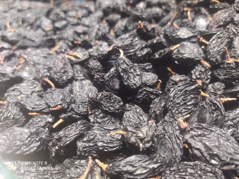 包邮，黑加仑黑美人，新疆吐鲁番，真正超大颗粒，口感好自然