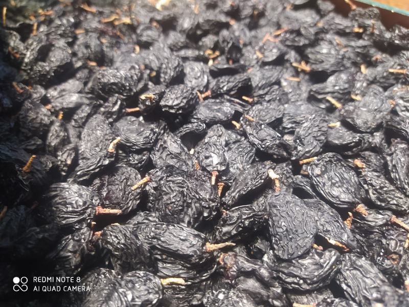 包邮，黑加仑黑美人，新疆吐鲁番，真正超大颗粒，口感好自然