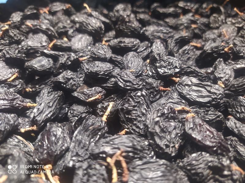 包邮，黑加仑黑美人，新疆吐鲁番，真正超大颗粒，口感好自然