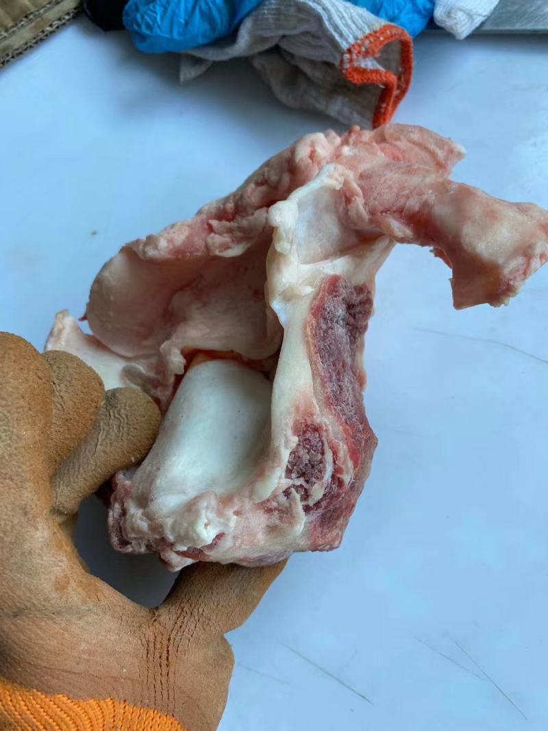 纯干精修去油牛窝骨，自助炖锅必备好食材厂家直销一手货源。