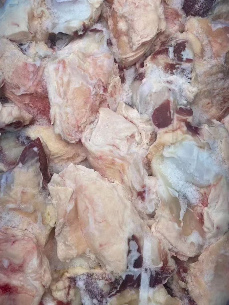 纯干精修去油牛窝骨，自助炖锅必备好食材厂家直销一手货源。