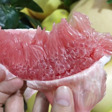 红柚