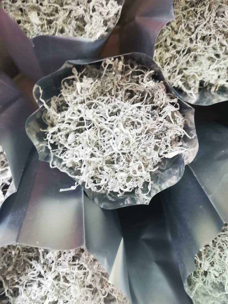 拿样专款～50克样品张家界莓茶特级芽尖