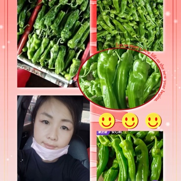 精品热卖【芜湖椒】薄皮椒，量大，代收代发全国各地