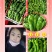 精品热卖【芜湖椒】薄皮椒，量大，代收代发全国各地