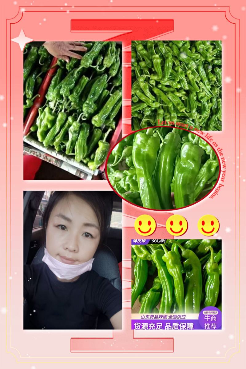 精品热卖【芜湖椒】薄皮椒，量大，代收代发全国各地