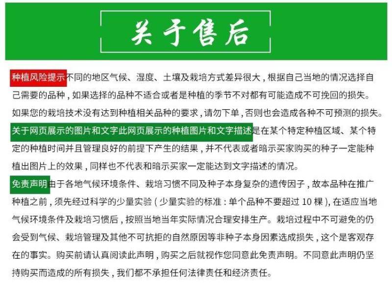 东方螺7号深绿细螺丝线椒杂交辣椒种子高产抗病耐高温高湿口