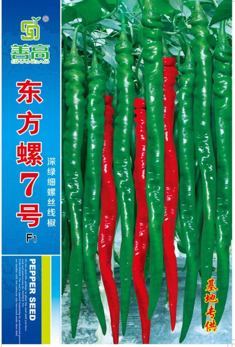 东方螺7号深绿细螺丝线椒杂交辣椒种子高产抗病耐高温高湿口