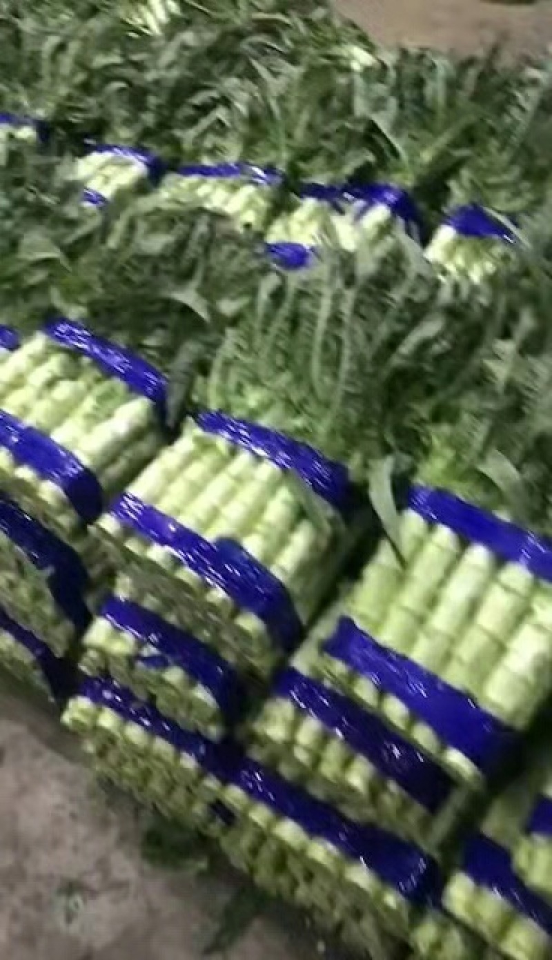 紫叶香莴笋-基地直供-视频看货-量大从优。