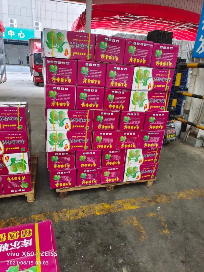 新疆库尔勒香梨二级梨