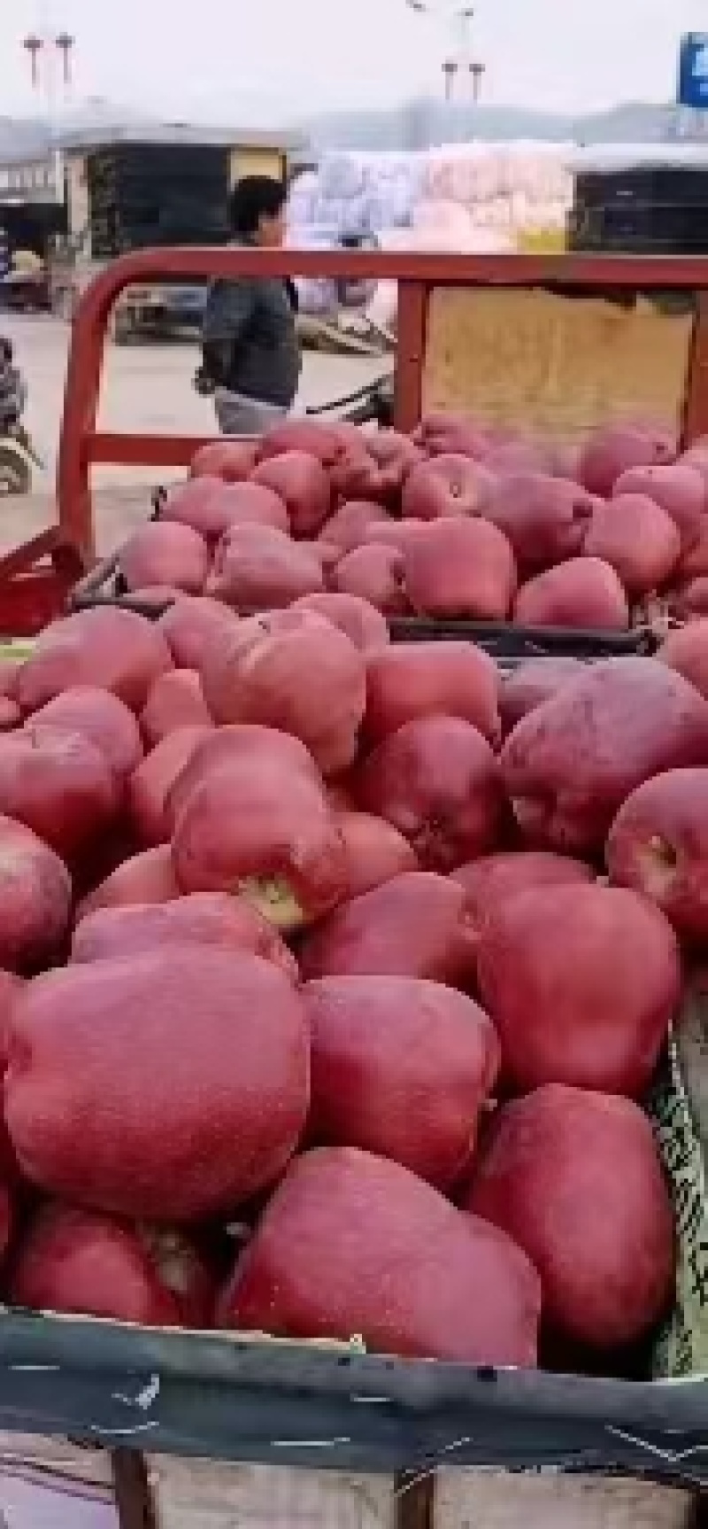 花牛