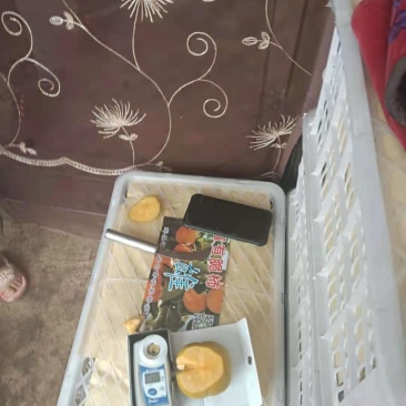 脆甜柿