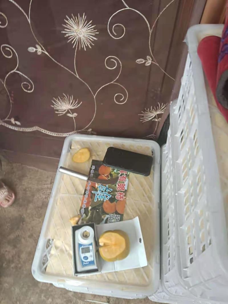 脆甜柿
