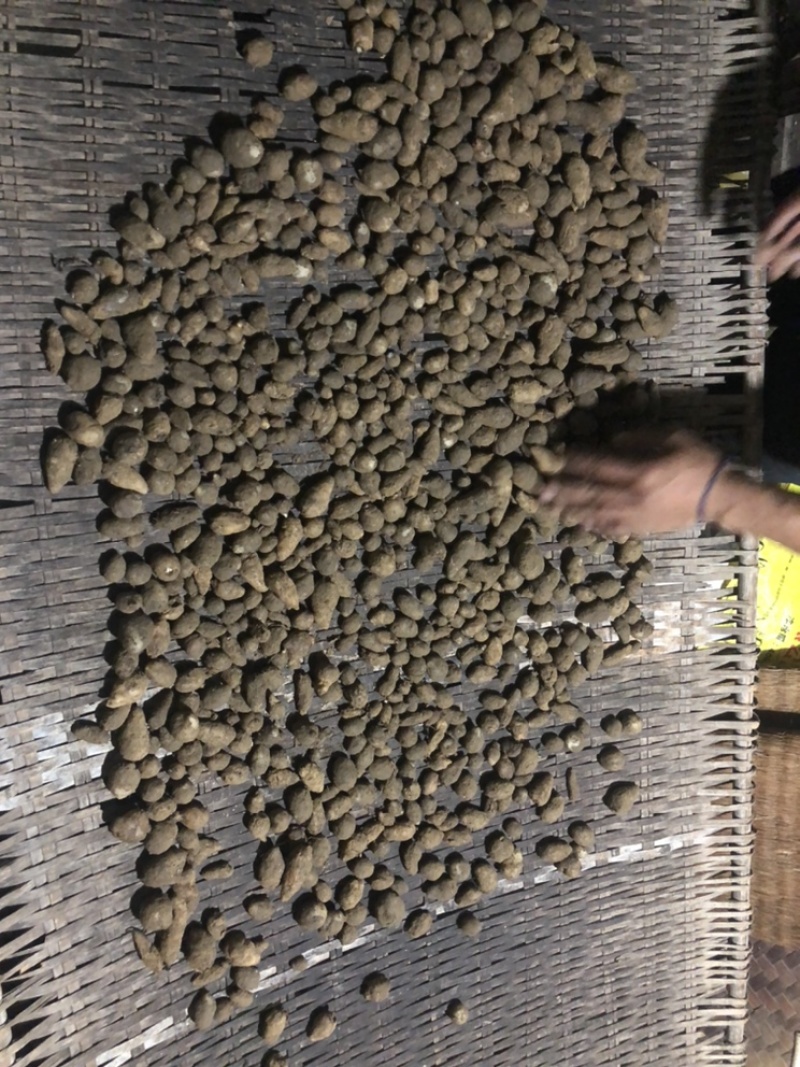 云南野生双肾草，云南野生，需要提前预定。
