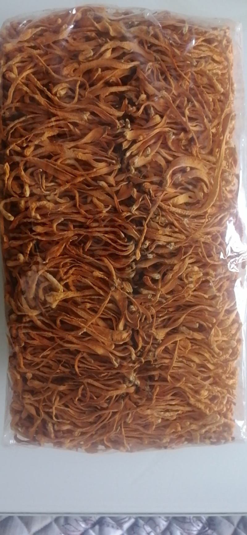 北虫草产区直供，虫草花批发，鲜虫草，虫草专供