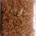 北虫草产区直供，虫草花批发，鲜虫草，虫草专供