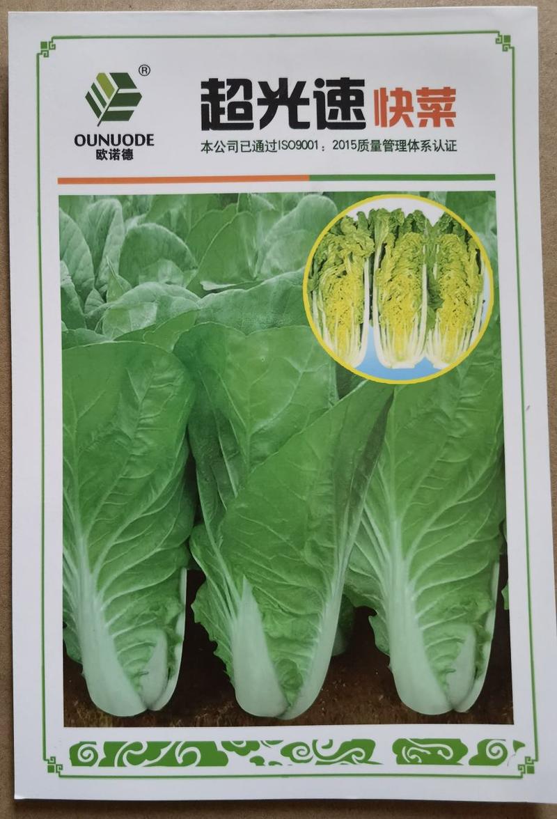 超光速快菜种子，生长快速，叶柄绿色，抗病能力强，耐湿耐热