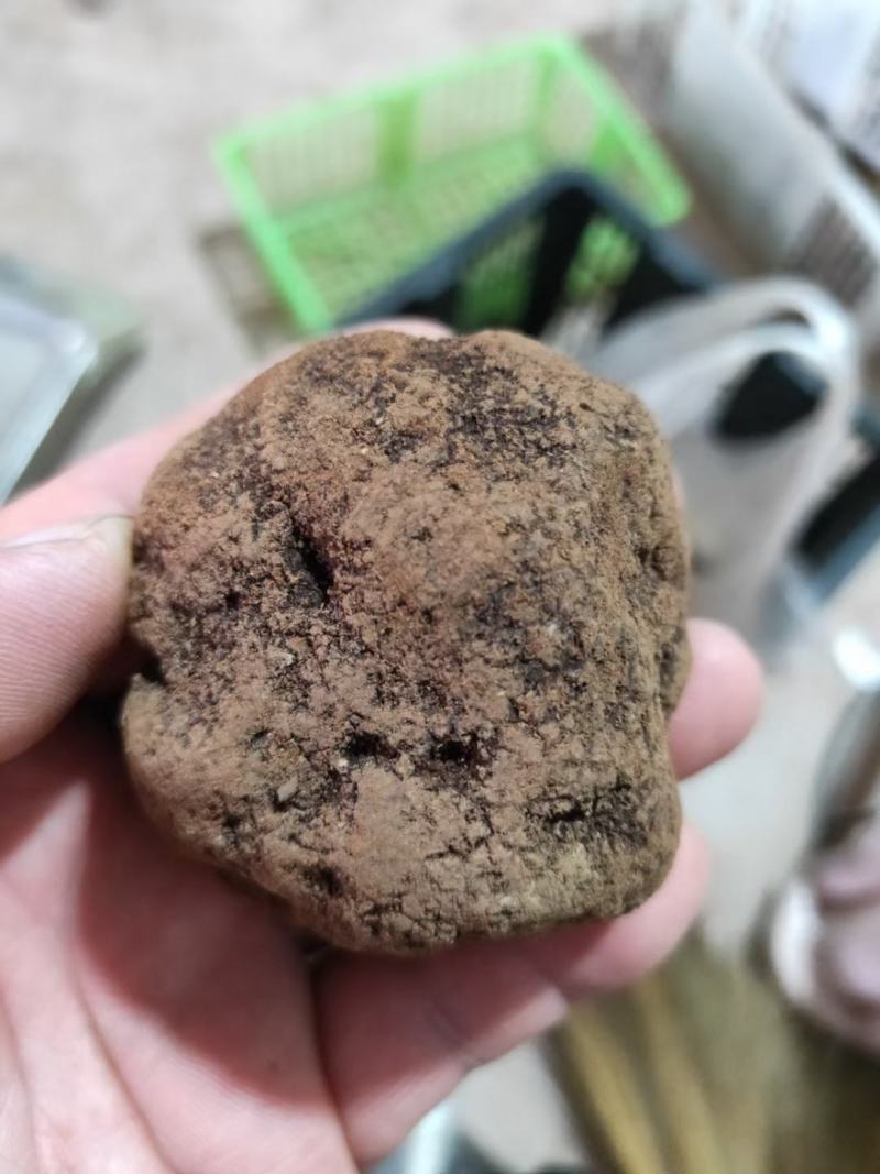 云南一手松露支持电商.微商.拼多多.淘宝.抖音.快手.天