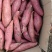 大量供应西瓜红薯，白心商薯19，黄心龙薯九号，基地货