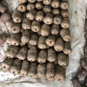 天麻，正宗小草坝天麻，产地直发，长期鲜货量大从优