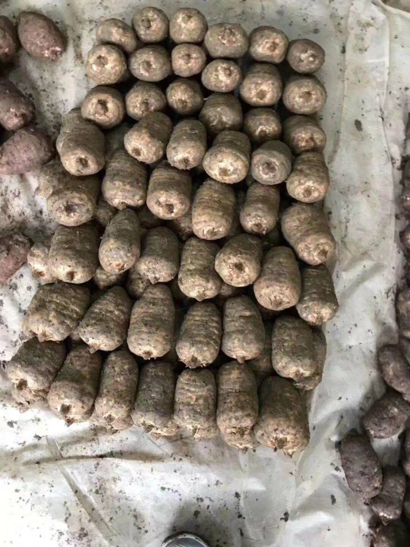 天麻，正宗小草坝天麻，产地直发，长期鲜货量大从优
