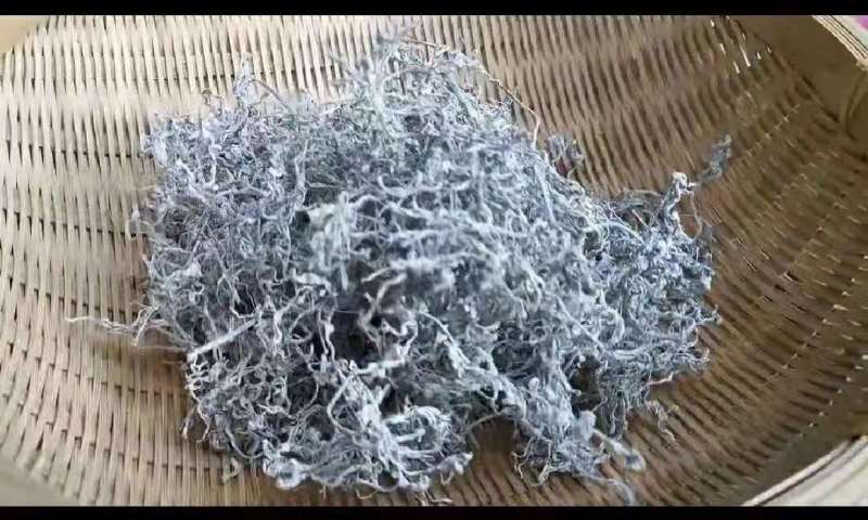 湖南省张家界市永定区罗塔坪乡原产地莓茶