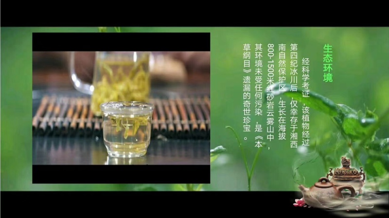 湖南省张家界市永定区罗塔坪乡原产地莓茶